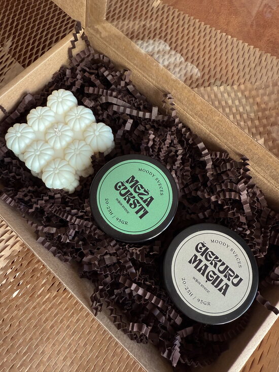 Moody Sveces rudens komplekts — Meža noskaņa